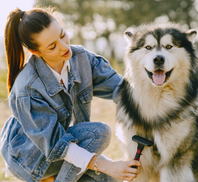 Ana dog friend