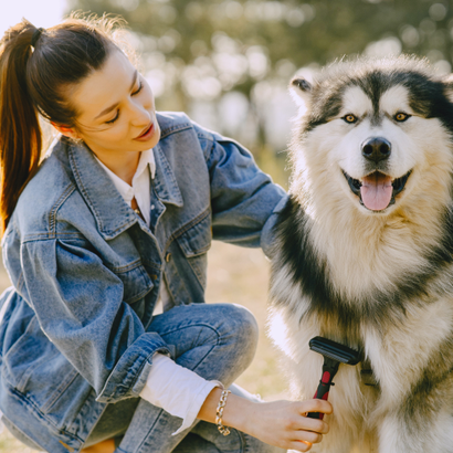 Ana dog friend