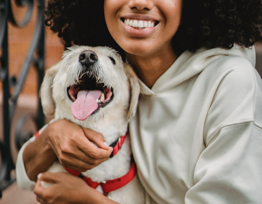 Ana dog friend